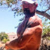 anthonykille427